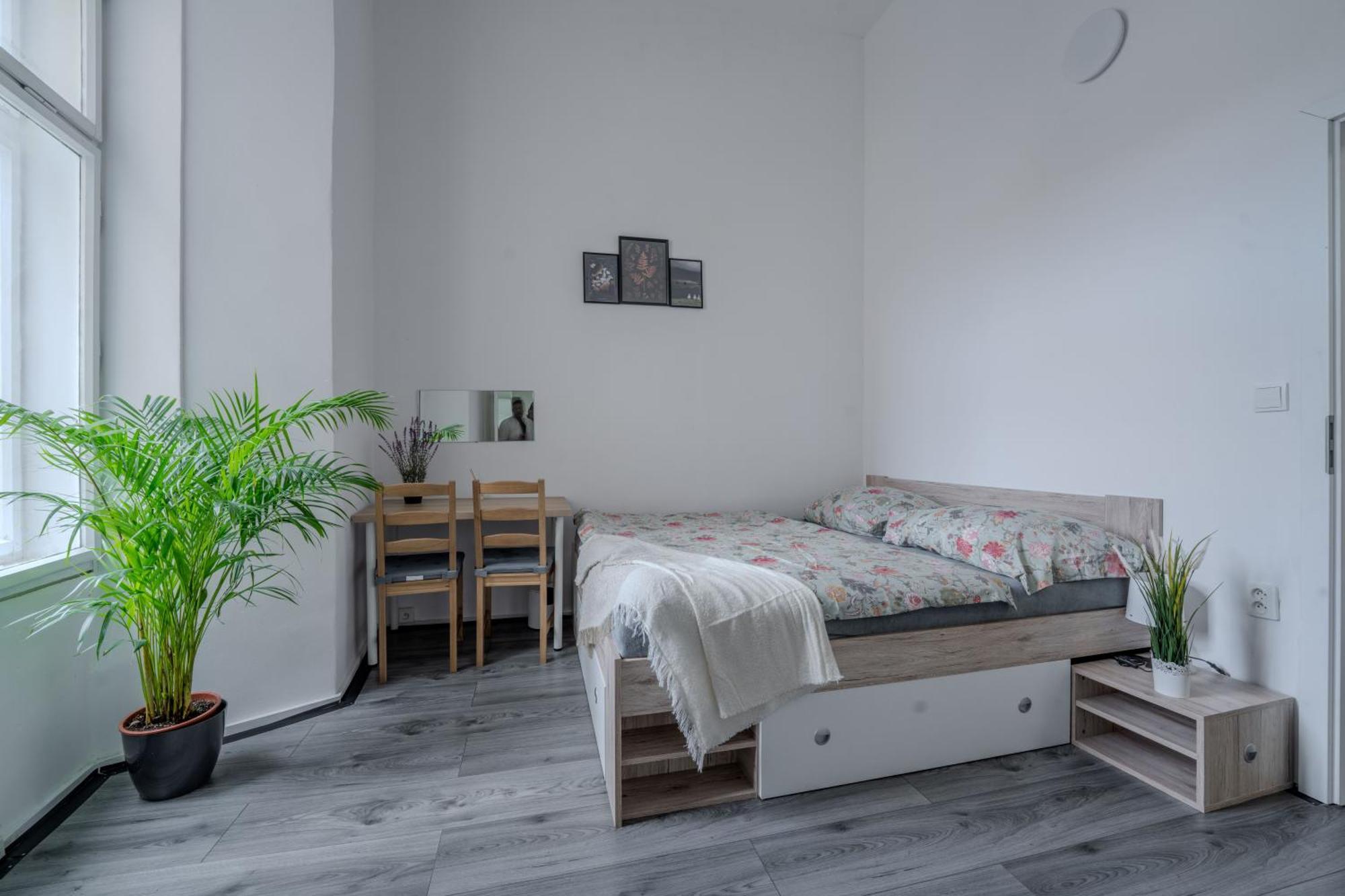 Stunning & Spacious 2bdr Apt In Center Praga
